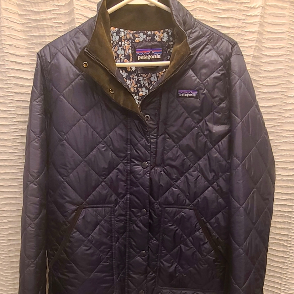 Womens blue patagonia fall jacket.